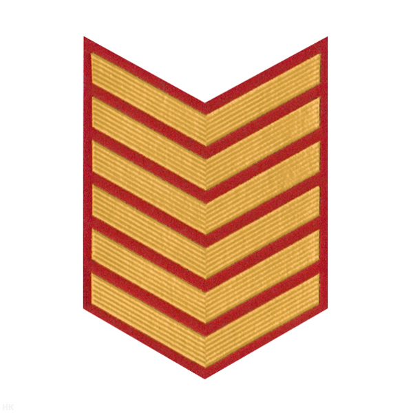 Курсовка пластизол. 6 курс (красн.) галочка