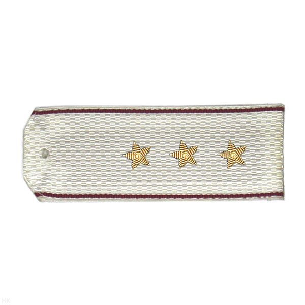 Погоны ВВ белые с крап. кантом, вышит. канителью (ст. прапорщик)