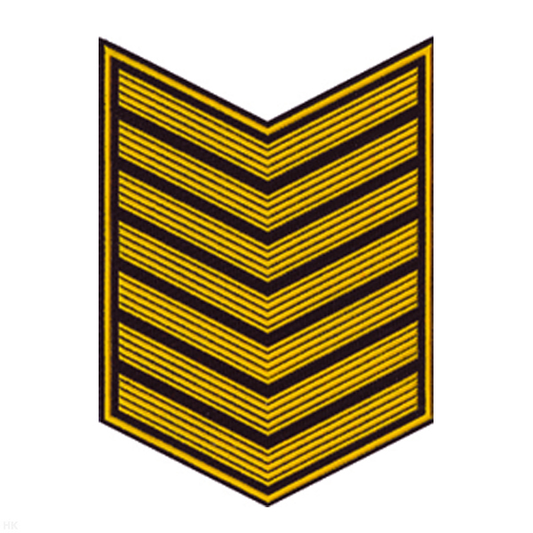 Курсовка пластизол. 7 курс (черн.) галочка (с просветами)