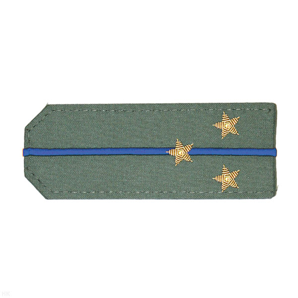 Погоны из рубаш. ткани оливк. с вышит. 1 вас. просв., вышит. канителью (ст. лейтенант)