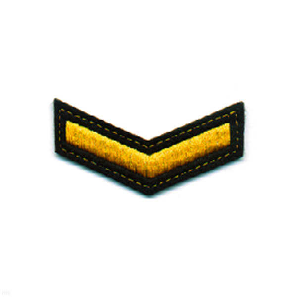 Курсовка вышит. 1 курс (черн.)