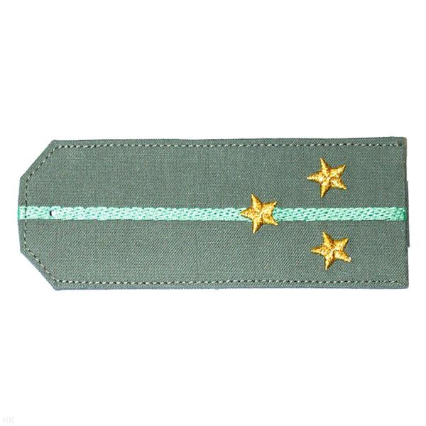 Погоны «машинная вышивка» из рубаш. ткани оливк. с 1 вышит. зел. просв. с вышит. звездами (ст. лейтенант)