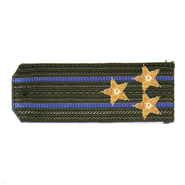 Погоны ФСБ ст/обр оливк. с 2 вас. просв., вышит. канителью (полковник)