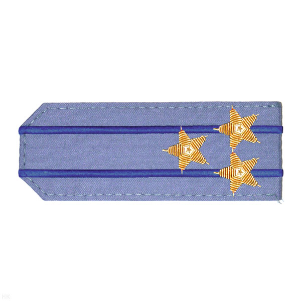 Погоны из рубаш. ткани серо-голуб. с вышит. 2 вас. просв., вышит. канителью (полковник)