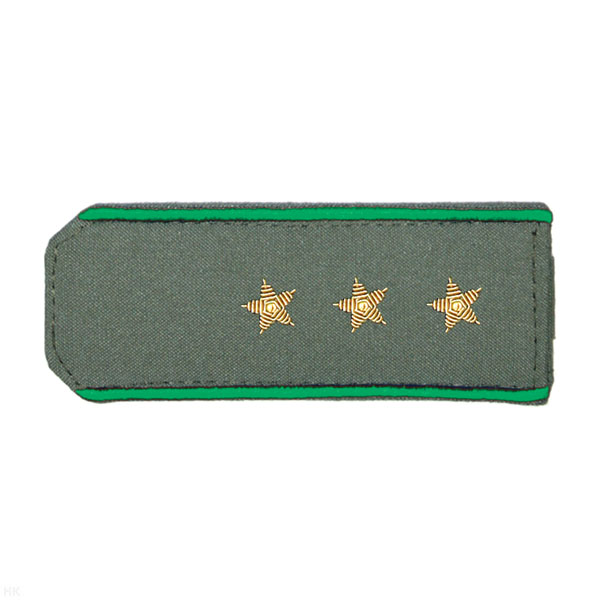 Погоны из рубаш. ткани оливк. с вышит. зел. кантом, вышит. канителью (ст. прапорщик)