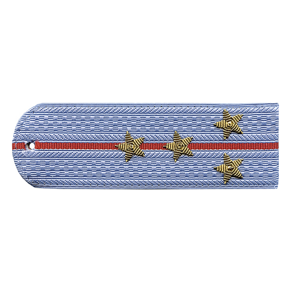 Погоны Полиция нов/обр без канта серо-голуб. вышит. канителью (капитан)