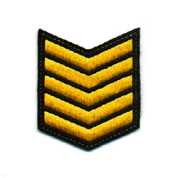 Курсовка вышит. 5 курс (черн.)