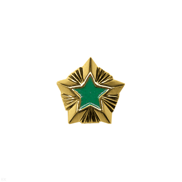 Звезда на погоны пласт. 14 мм Росприроднадзор/Госохотнадзор (зол. с зел. краской)