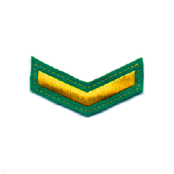 Курсовка вышит. 1 курс (зел.)