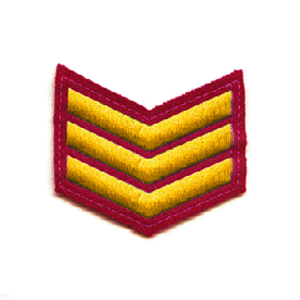 Курсовка вышит. 3 курс (крапов.) люрекс