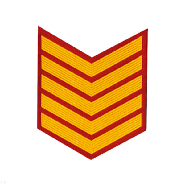 Курсовка пластизол. 5 курс (красн.) галочка