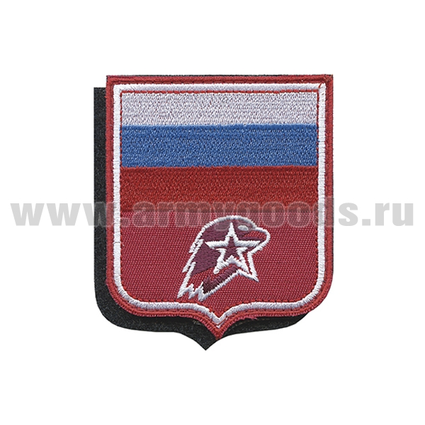 Шеврон вышит. Юнармии (с флагом РФ и орлом) на липучке