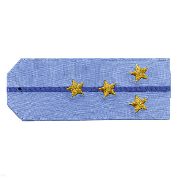 Погоны «машинная вышивка» из рубаш. ткани ФСБ голуб. с вышит. 1 вас. просв. с вышит. звездами (капитан)