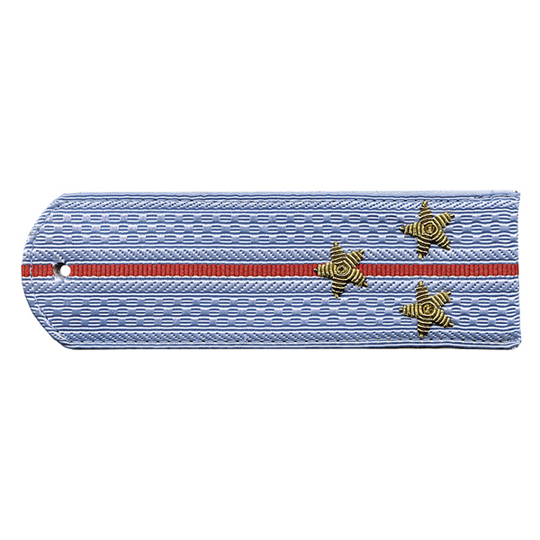 Погоны Полиция нов/обр без канта серо-голуб. вышит. канителью (ст. лейтенант)