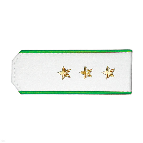 Погоны из рубаш. ткани белые с вышит. зел. кантом, вышит. канителью (ст. прапорщик)