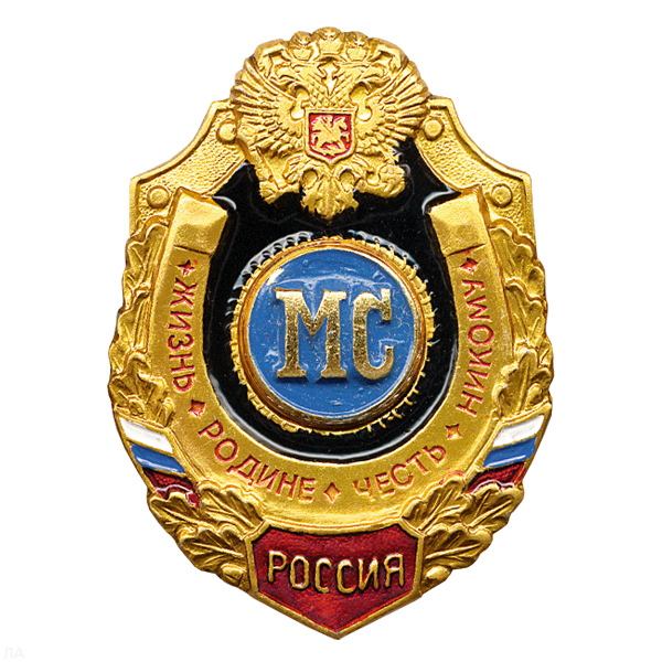 Значок мет. МС (серия Жизнь Родине,Честь никому)