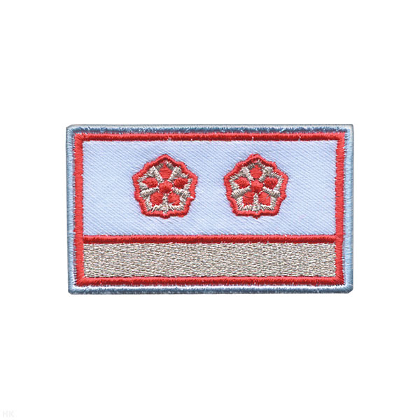 Нагрудный знак вышит. РЖД (голубой) 1 галун 2 звезды