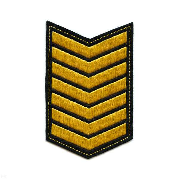 Курсовка вышит. 7 курс (черн.)