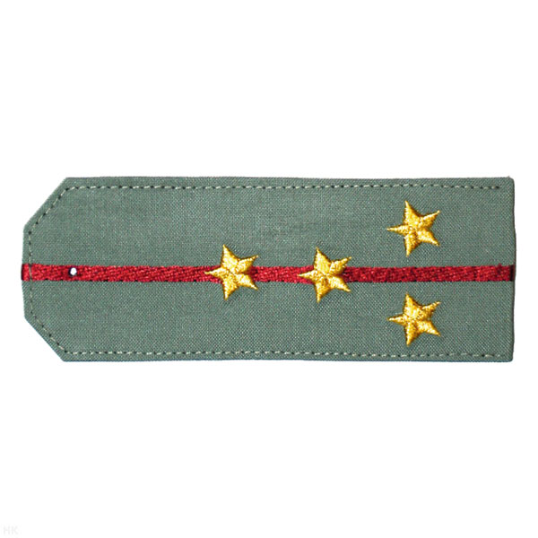 Погоны «машинная вышивка» из рубаш. ткани оливк. с 1 вышит. крап. просв. с вышит. звездами (капитан)