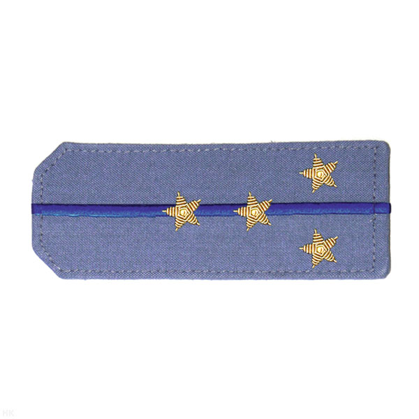 Погоны из рубаш. ткани серо-голуб. с вышит. 1 вас. просв., вышит. канителью (капитан)