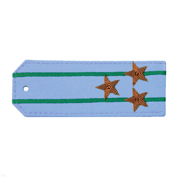 Погоны из рубаш. ткани голуб. ПС ФСБ с 2 вышит. зел. просв., вышит. канителью (полковник)