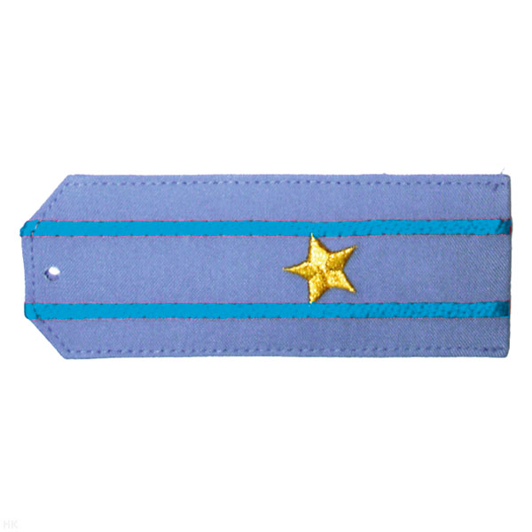 Погоны «машинная вышивка» из рубаш. ткани серо-голуб. с 2 вышит.  голуб. просв. с вышитой звездой (майор)