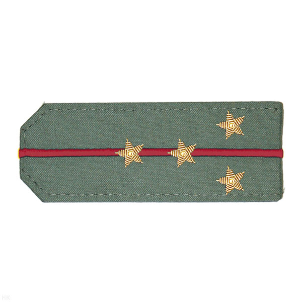 Погоны из рубаш. ткани оливк. с вышит. 1 крап. просв., вышит. канителью (капитан)