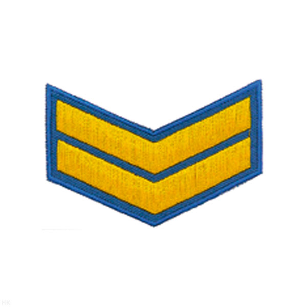 Курсовка вышит. 2 курс (голуб.)