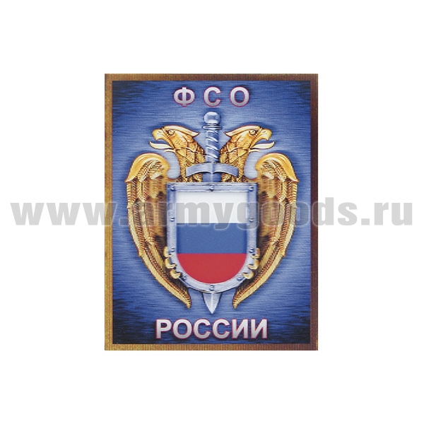 Магнит 3D ФСО России