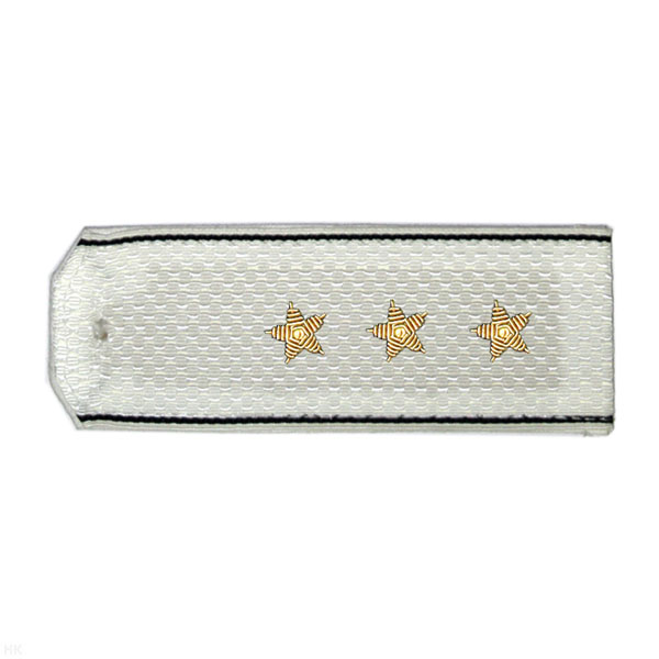 Погоны ВМФ белые с черн. кантом, вышит. канителью (ст. прапорщик) Погоны ВМФ белые с черн. кантом, вышит. канителью (ст. прапорщик)