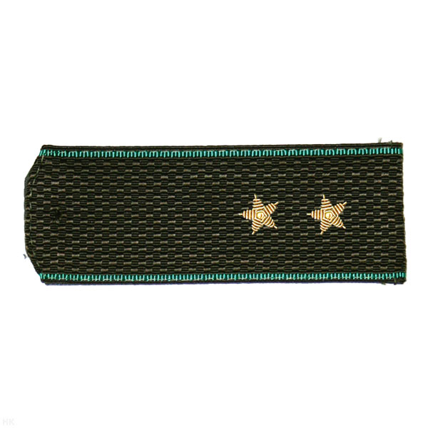 Погоны ПС ст/обр оливк. с зел. кантом, вышит. канителью  (прапорщик)