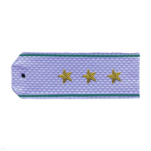 Погоны ПС ФСБ голуб. с 2 зел. полосками по краям на рубашку, вышит. канителью (ст. прапорщик)