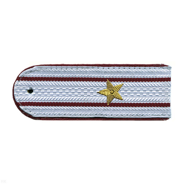 Погоны ФСИН светло-серые с крап. кантом с 2 крап.и просв. на рубашку, вышит. канителью (майор)