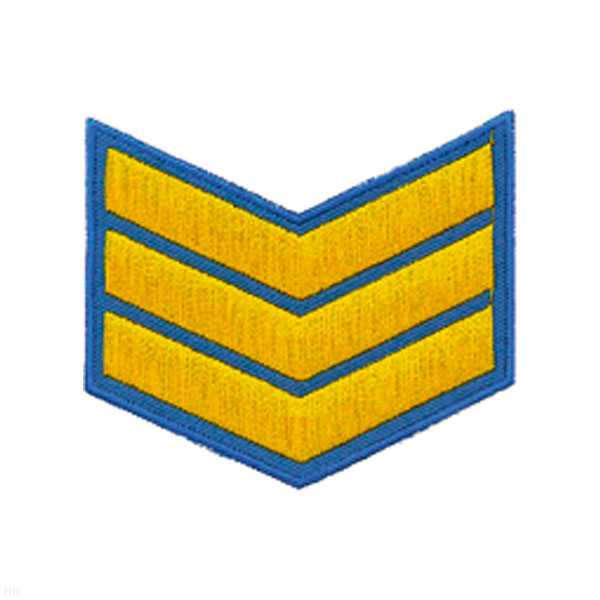 Курсовка вышит. 3 курс (голуб.)