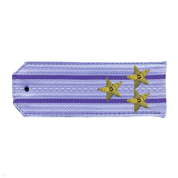 Погоны ФСБ нов/обр голуб. с 2 вас. просв. на рубашку, вышит. канителью (полковник) Погоны ФСБ нов/обр голуб. с 2 вас. просв. на рубашку, вышит. канителью (полковник)