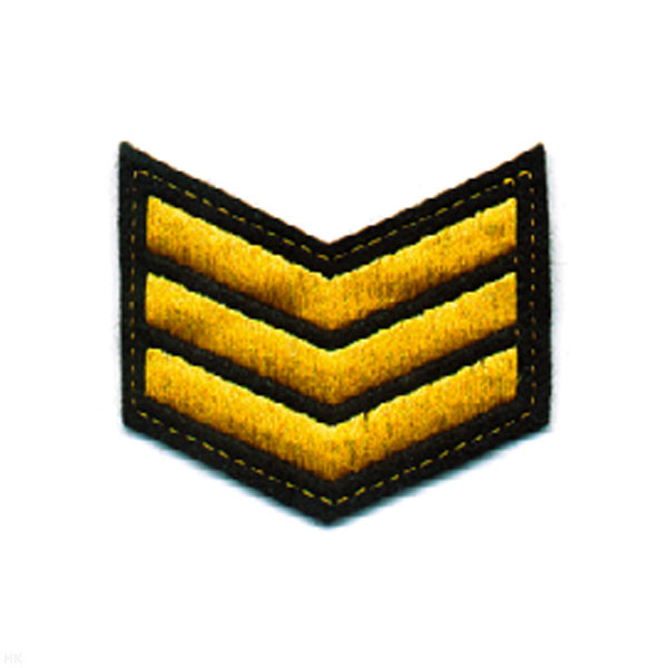 Курсовка вышит. 3 курс (черн.)