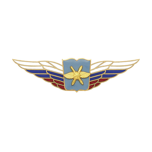 Значок мет. Должностной знак начальника высшего военного училища, проф. образоват. организации и общеобразовательной организации ВКС (№53)