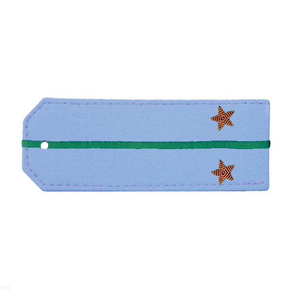 Погоны из рубаш. ткани голуб. ПС ФСБ с 1 вышит. зел. просв., вышит. канителью (лейтенант)