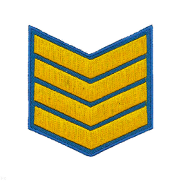 Курсовка вышит. 4 курс (голуб.)