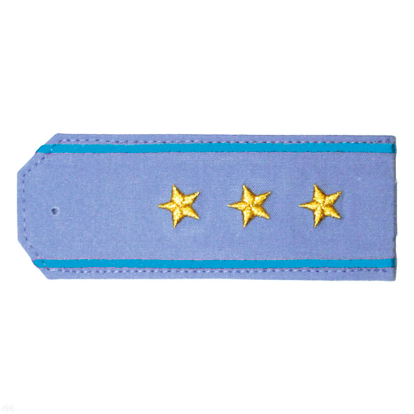 Погоны «машинная вышивка» из рубаш. ткани серо-голуб. с вышит. голуб. кантом с вышит. звездами (ст. прапорщик)