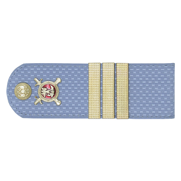 Погоны Полиции (ОВД) на голубую рубашку (без канта), укомпл. мет. фурнитурой (сержант) пластик