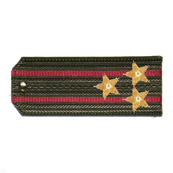 Погоны ВВ оливк. с 2 крап.и просв., вышит. канителью (полковник)