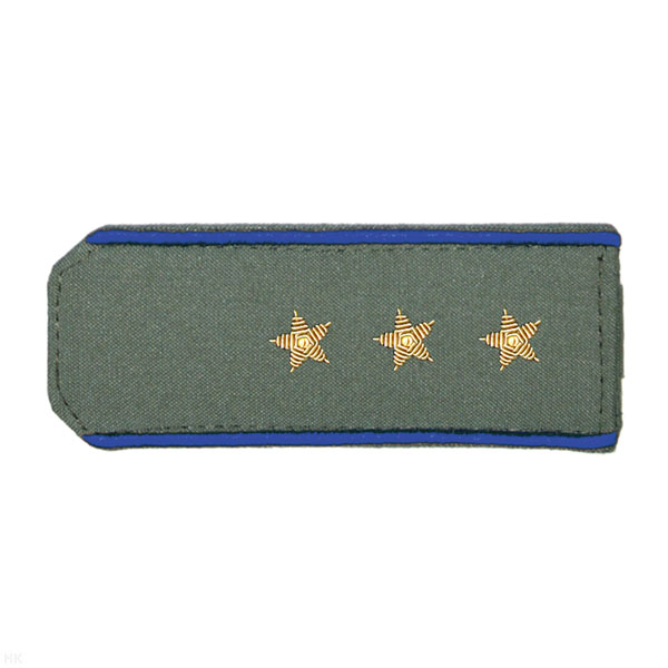 Погоны из рубаш. ткани оливк. с вышит. вас. кантом, вышит. канителью (ст. прапорщик)