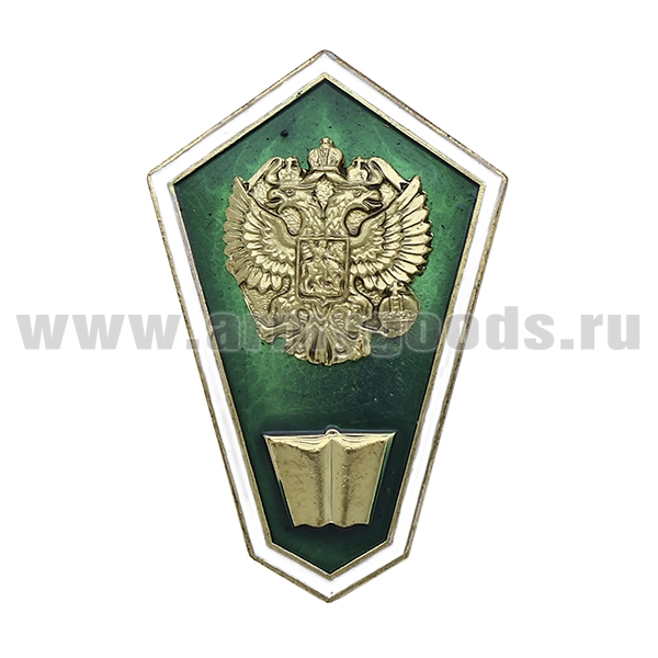 Значок мет. "Гробик" (с книгой, зеленый) с накладным орлом РФ (хол. эм)