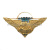 Значок мет. 98 гв. ВДД (серия орел с парашютом, крылья в стороны с названиями дивизий ВДВ)