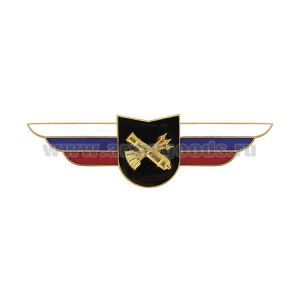 Значок мет. Должностной знак командира учебной воинской части (ПВО) (№45)