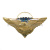 Значок мет. 104 гв. ВДД (серия орел с парашютом, крылья в стороны с названиями дивизий ВДВ)