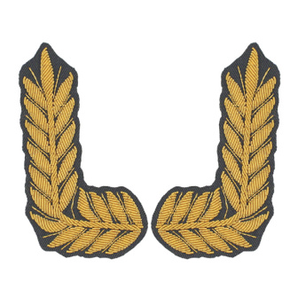 Орнамент канит. (золото 3%) на воротник МВД генеральский нов/обр (серый фон)