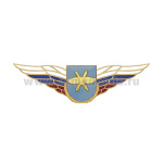 Значок мет. Должностной знак командира бригады и ей равного соединения (ВКС) (№49)