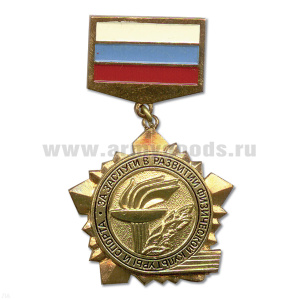 Медаль За заслуги в развитии физической культуры и спорта (на планке)